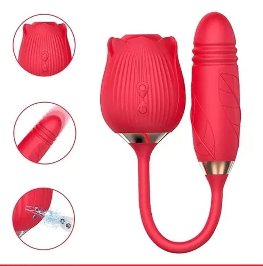 Double Pleasure Rose